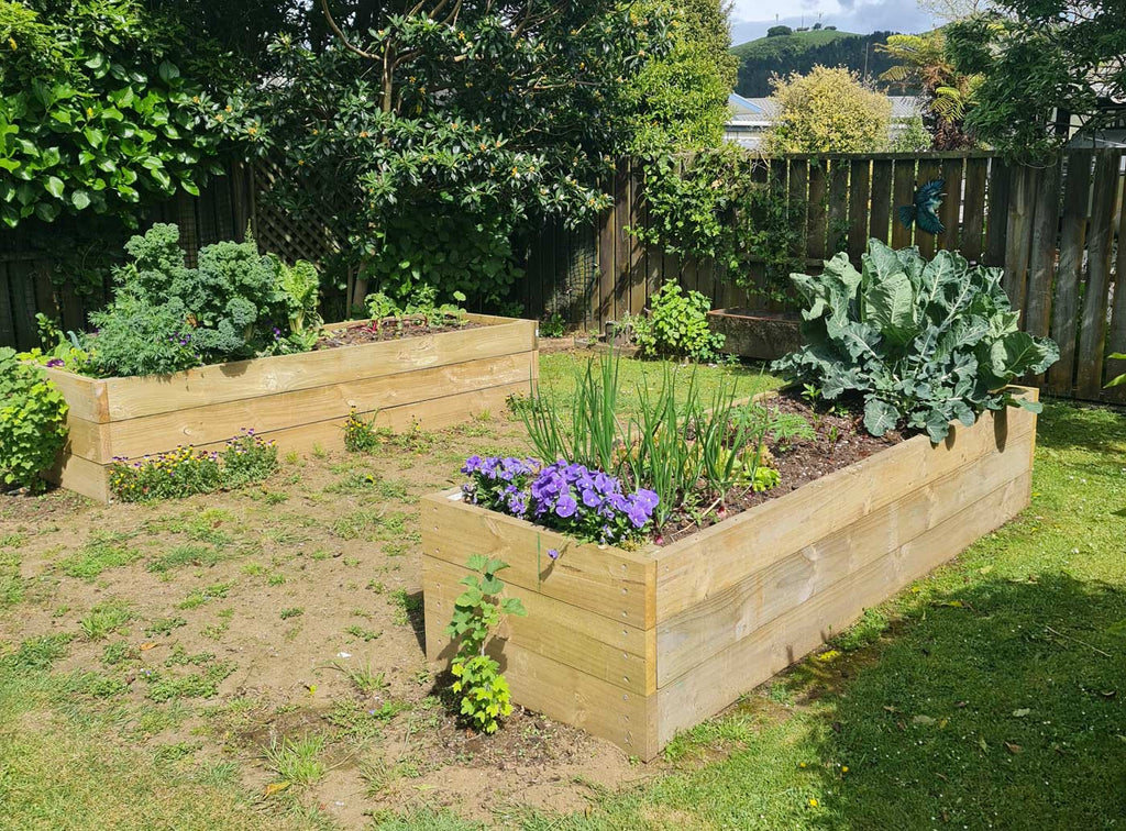 Grey Force Home Care