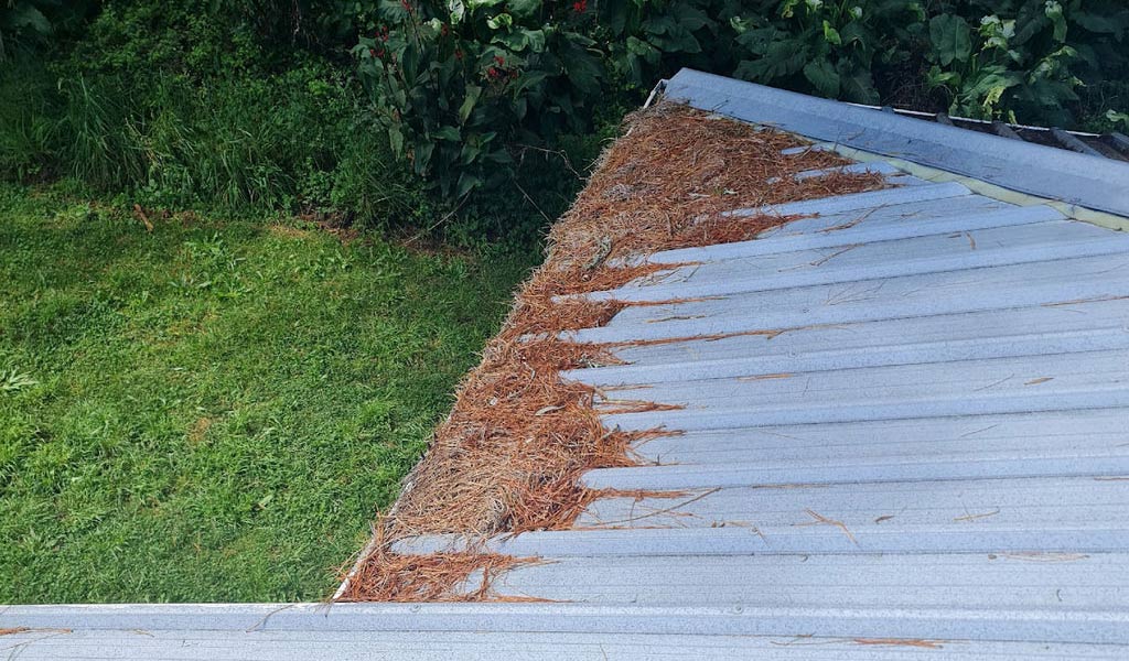 Grey Force Home Care