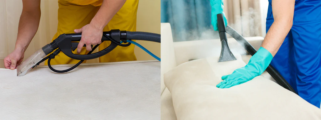 Grey Force Home Care