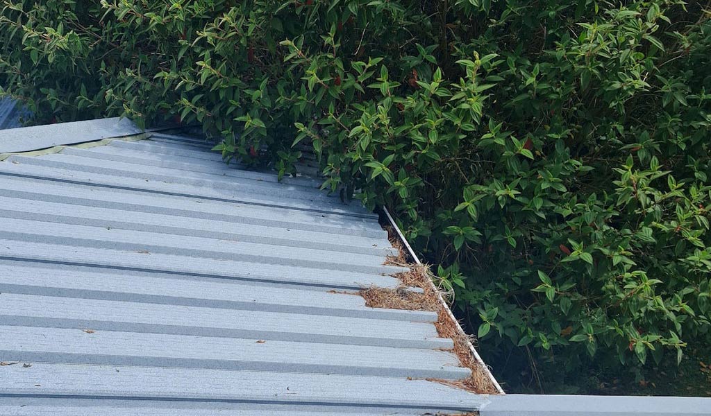 Grey Force Home Care